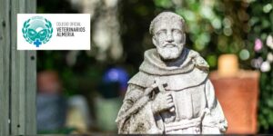 El Colegio de Veterinarios de Almería celebra el Día de su Patrón San Francisco de Asís