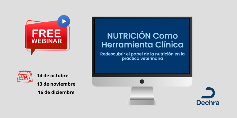 Tres webinars gratuitos para entender la nutrición veterinaria desde la clínica