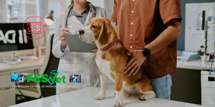 La Federación Estatal de Sindicatos Veterinarios (FESVET) solicita formalmente su participación en la mesa de negociación del tercer convenio colectivo de centros y servicios veterinarios