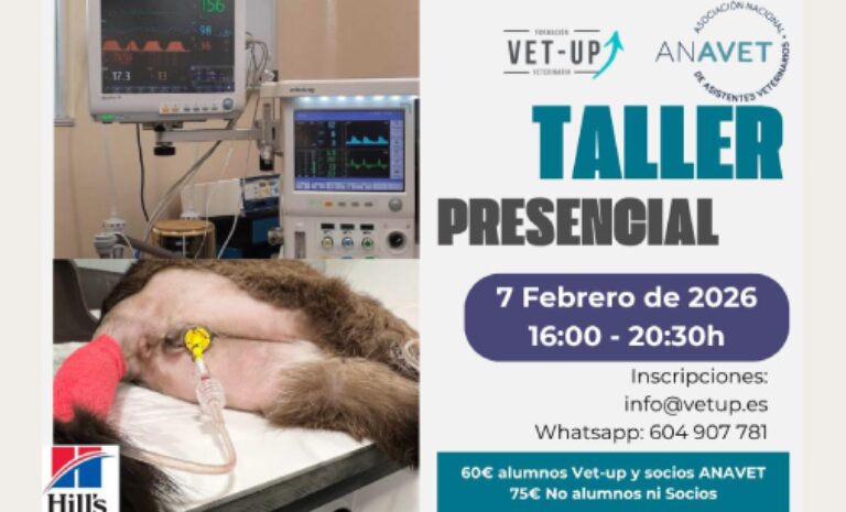 Taller presencial: Monitorización anestésica y colocación de sondas urinarias y de alimentación para ACVs