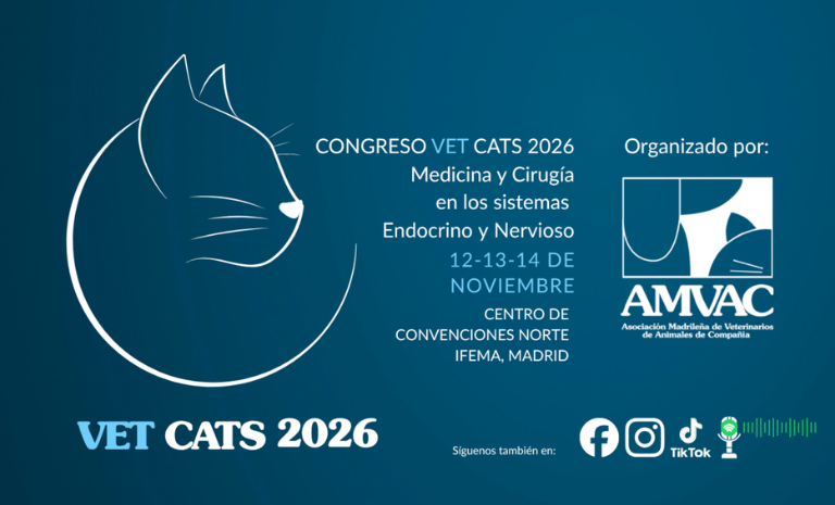 II Congreso Vet Cats 2026: Excelencia en Medicina Felina