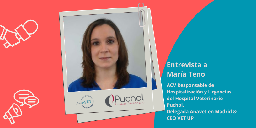 María Teno nos cuenta la evolución del ACV en hospitalización veterinaria