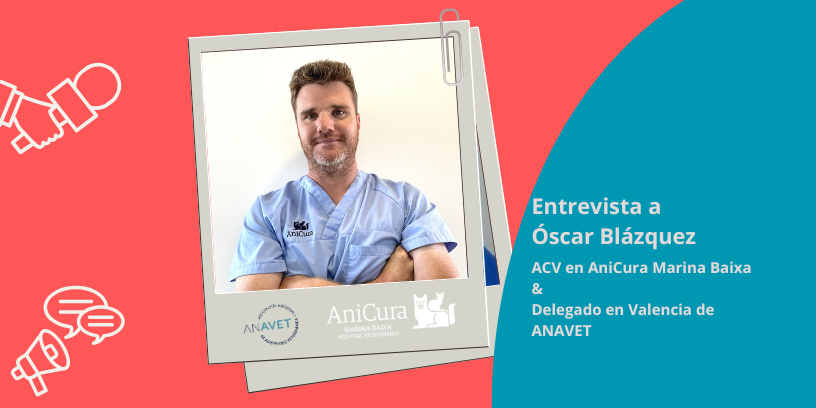 “En Inglaterra entendí que el ATV no es un ayudante, es un profesional sanitario con  competencias propias”