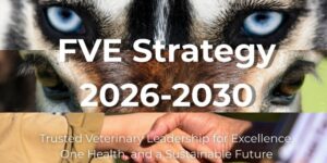 La FVE define su estrategia 2026–2030 para reforzar el liderazgo veterinario en Europa