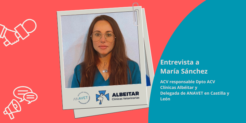 Anestesia veterinaria desde dentro el papel del ACV especializado que marca la diferencia