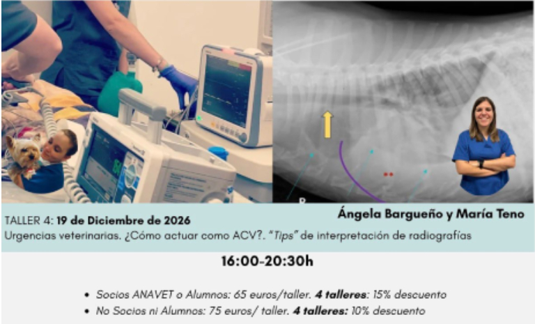 Taller Vet-UP ANAVET 2026: Urgencias veterinarias y radiografía para ACV
