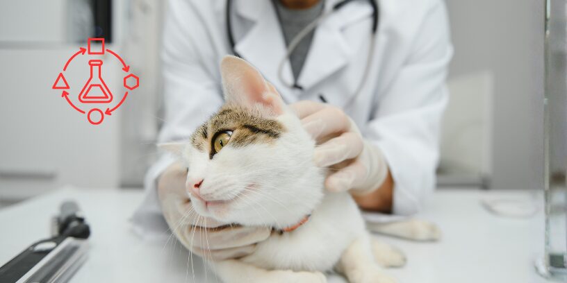 Desarrollo de tumores malignos en gatos y factores asociados en un estudio multicéntrico italiano