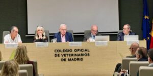 COLVEMA aprueba el Presupuesto 2026 y refuerza su estrategia de defensa profesional en un contexto normativo complejo
