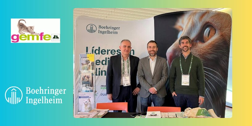 Las innovaciones de Senvelgo® y Semintra® impulsan los avances en medicina felina en el Congreso GEMFE 2026
