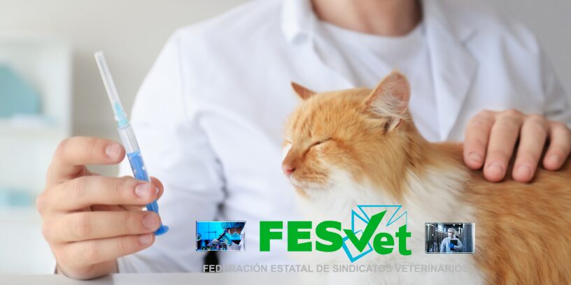 FESVET reitera su solicitud para participar en la negociación del III Convenio Colectivo veterinario