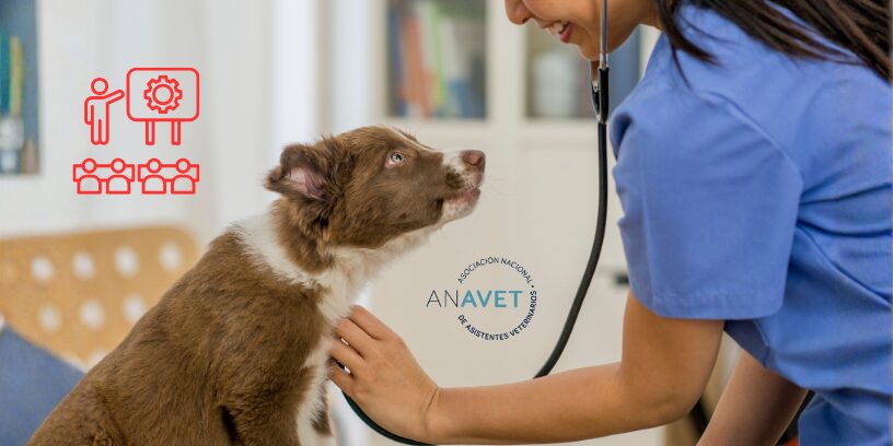 ANAVET presenta su calendario formativo para auxiliares clínicos veterinarios en 2026