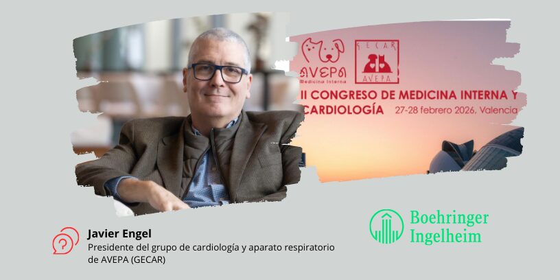 “La Inteligencia Artificial será clave en el diagnóstico precoz de enfermedades cardíacas”