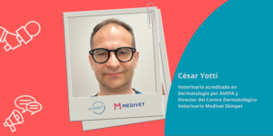 Especialización en dermatología veterinaria y el papel clave del ACV en el manejo de pacientes