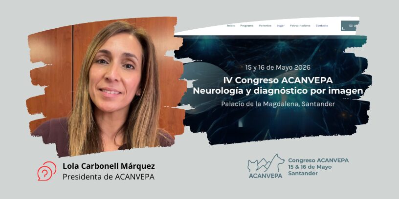 Neurología clínica y diagnóstico por imagen protagonizan el IV Congreso ACANVEPA en Santander