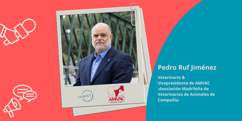 El papel del ACV en la clínica veterinaria actual con más especialización y trabajo en equipo
