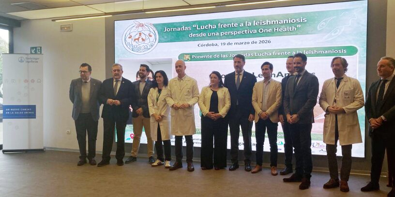Sanitarios y veterinarios llaman a reforzar la prevención frente a la leishmaniosis en España