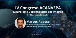 El IV Congreso ACANVEPA centrará su primera jornada en cómo tomar mejores decisiones en neurología clínica veterinaria