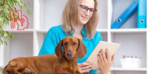 La medicina veterinaria que viene: vínculos, sistemas e inteligencia artificial