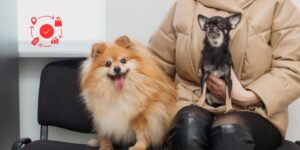 La recepción en la clínica veterinaria como punto crítico de la experiencia del cliente