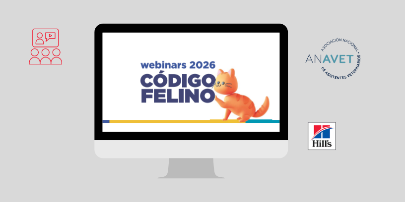 ANAVET presenta un ciclo de webinars sobre medicina felina dirigido a auxiliares veterinarios en 2026