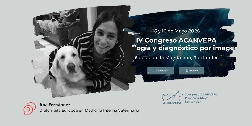 Ana Fernández, Diplomada Europea en Medicina Interna veterinaria, nos desgrana su participación en ACANVEPA