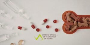 El Colegio de Veterinarios de Madrid defiende la realidad asistencial de la profesión, reivindica el criterio clínico veterinario y reclama un análisis riguroso sobre el acceso y uso del medicamento veterinario
