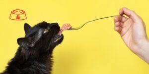 El petfood creció más del 6% en 2025, con el gato como principal motor