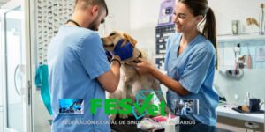 FESVET solicita a la Seguridad Social un informe sobre morbilidad, mortalidad y siniestralidad en la profesión veterinaria