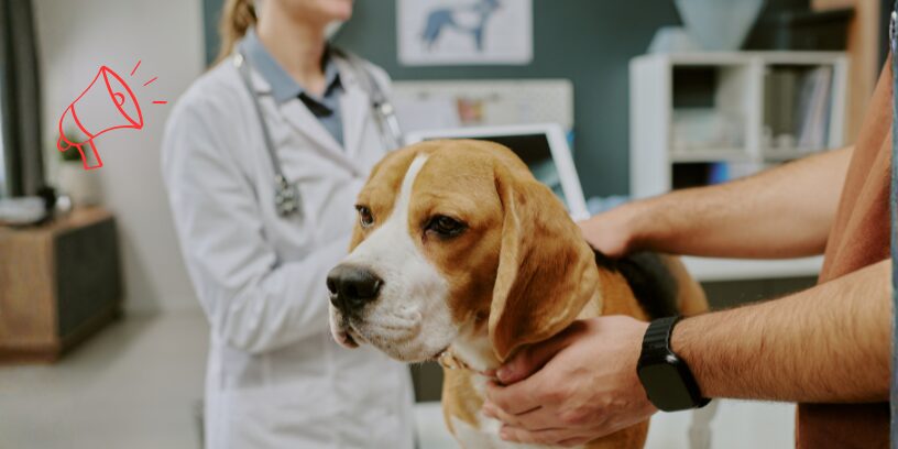 Reale entra en Canitas con una participación del 18,9% para desarrollar servicios veterinarios en España