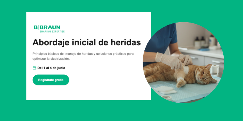 Abordaje inicial de heridas: la cura básica como clave para prevenir complicaciones