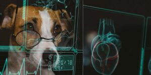 Cardiología intervencionista veterinaria, del escepticismo a la responsabilidad
