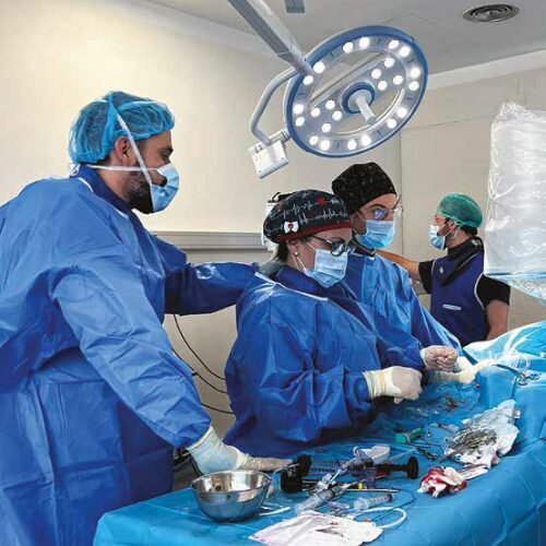 cardiología intervencionista veterinaria