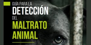 COLVEMA presenta una guía para ayudar a los veterinarios a detectar y actuar ante posibles casos de maltrato animal