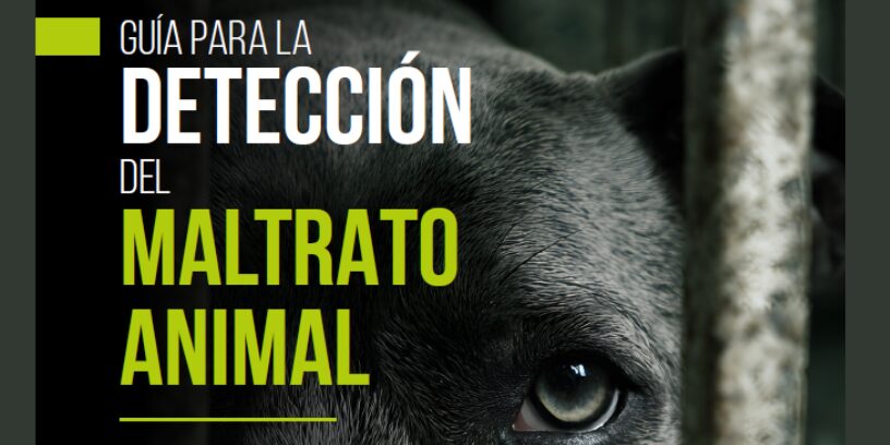 COLVEMA presenta una guía para ayudar a los veterinarios a detectar y actuar ante posibles casos de maltrato animal