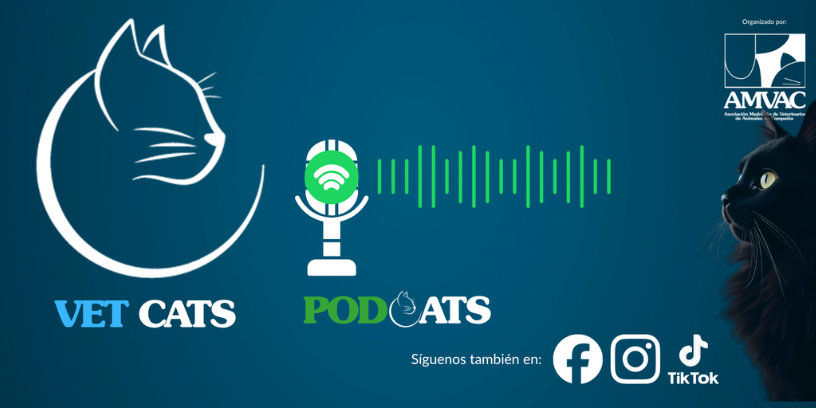 VetCats lanza “Podcats”, una nueva serie de entrevistas con referentes del sector veterinario