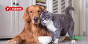 Boehringer Ingelheim impulsa un webinar sobre diagnóstico y manejo de leptospirosis canina y leucemia felina