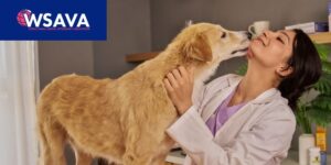 La WSAVA abre las candidaturas para sus premios de 2026