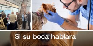 La campaña “Si su boca hablara” también presente en el EVDF