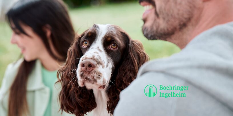 Boehringer Ingelheim lanza la campaña “Un momento antes” para promover la prevención de las zoonosis con motivo del Día Mundial de la Zoonosis