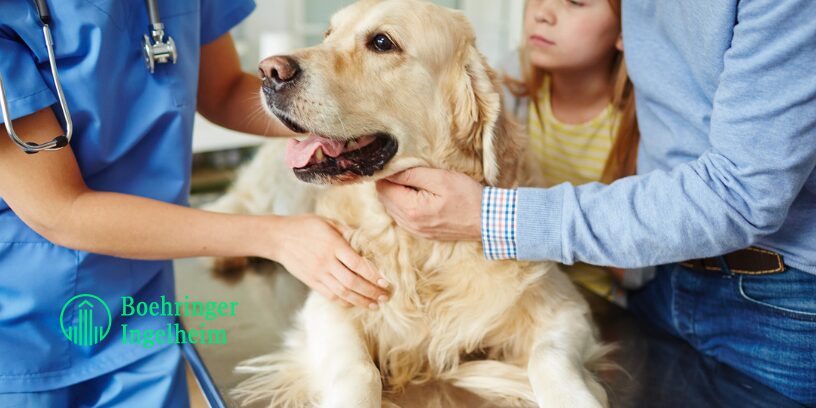 Boehringer Ingelheim presenta EkoVet+™ | Caninebeat® AI a la comunidad de cardiólogos veterinarios