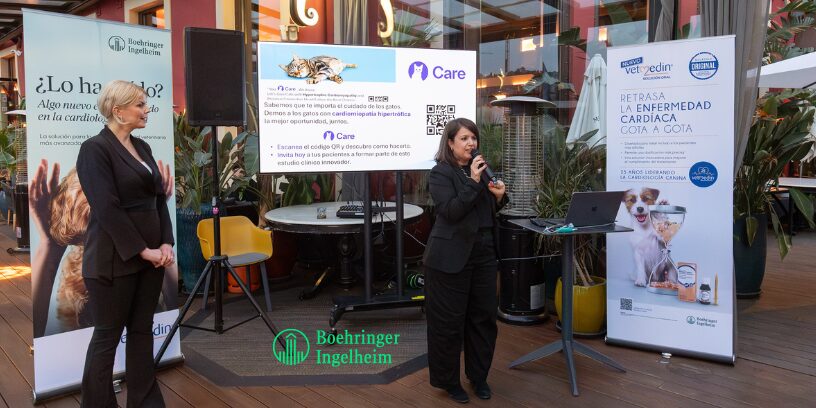 Caninebeat® AI: la Inteligencia Artificial al servicio de los veterinarios para facilitar la detección de soplos cardíacos en perros