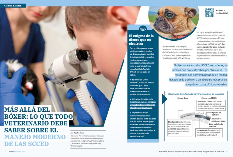 Más allá del Bóxer: Lo que todo veterinario debe saber sobre el manejo moderno de las SCCED
