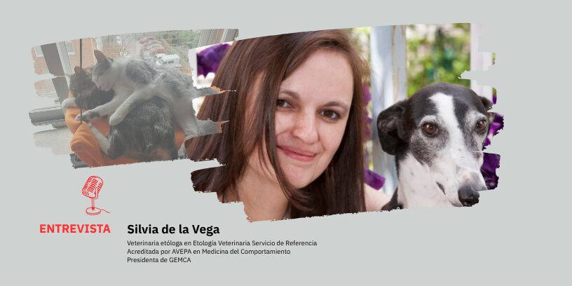 Protegido: Etología clínica, medicina del comportamiento y una mirada integral a la salud animal
