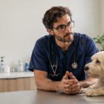 medicina veterinaria