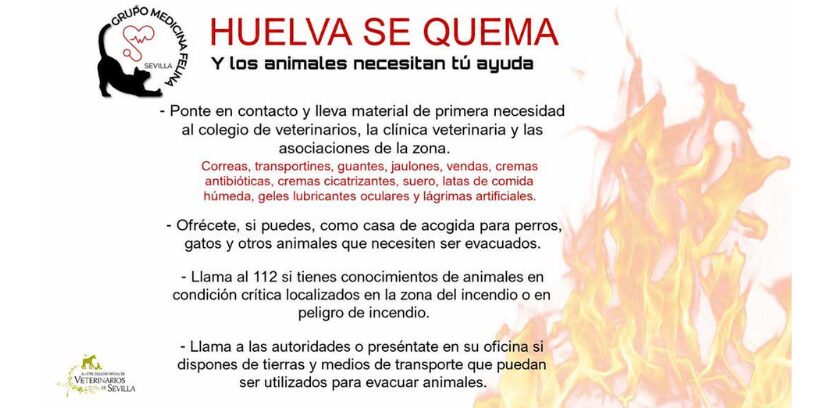 El Colegio de Veterinarios de Sevilla recoge material para los animales afectados por el incendio de Niebla