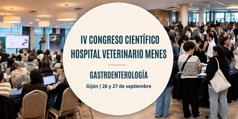 Un fin de semana para aprender, compartir y disfrutar de Gijón con otros profesionales veterinarios