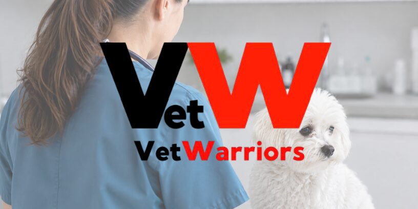 VetWarriors