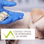 medicamento veterinario
