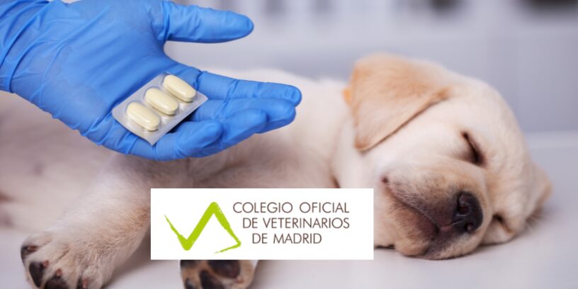 COLVEMA reclama en el ICAM una regulación del medicamento veterinario basada en la evidencia científica y el criterio clínico