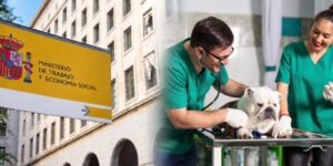 El BOE publica el III Convenio colectivo veterinario con subidas salariales del 4% anual y reducción de jornada hasta 2028